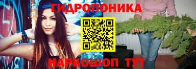 молекула духа Пушкино