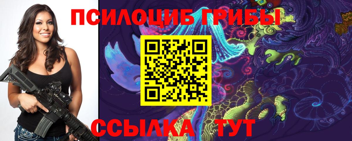 Псилоцибиновые грибы Psilocybe Сарапул